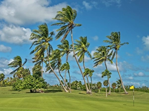 Sport Prints: North Sound Golf Club on Grand Cayman, Cayman Islands, British West Indies