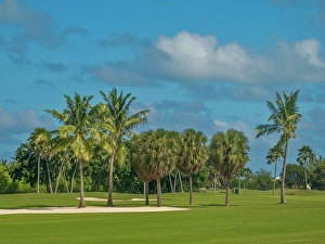 Sport Prints: North Sound Golf Club on Grand Cayman, Cayman Islands, British West Indies