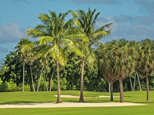 Sport Prints: North Sound Golf Club on Grand Cayman, Cayman Islands, British West Indies