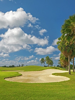 Sport Prints: North Sound Golf Club on Grand Cayman, Cayman Islands, British West Indies