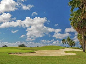Sport Prints: North Sound Golf Club on Grand Cayman, Cayman Islands, British West Indies