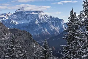Side Prints: The north west side of Civetta mountain framed between some snowcapped trees in winter