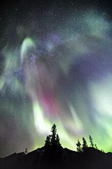 Images Dated 28th September 2017: Northern lights (Aurora Borealis), Jasper National Park, Alberta, Canada