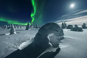 Aurora Boreale Prints: Northern lights (aurora borealis) during a full moon night from the top of the Riisitunturi National Park