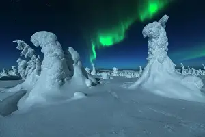 Aurora Boreale Prints: Northern lights (aurora borealis) during a full moon night from the top of the Riisitunturi National Park