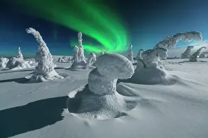 Aurora Boreale Prints: Northern lights (aurora borealis) during a full moon night from the top of the Riisitunturi National Park