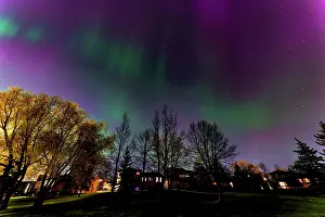 Night Sky Prints: Northern lights (aurora borealis) in Southdale neighbourhood, Manitoba, Canada