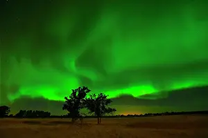 Aurora Prints: Northern lights dancing over prairie Birds Hill Provincial Park, Manitoba, Canada