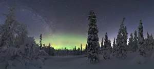 Northern lights over the frozen trees of Lapland in winter, Akaslompolo