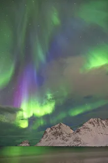 Norge Prints: Northern Lights at Haukland beach, Lofoten island, Norway