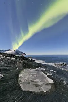 Tungeneset Prints: The Northern Lights illuminates the rocky peaks and icy sea in the polar night Tungeneset