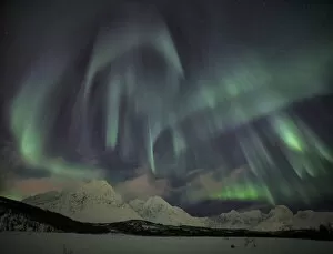 Images Dated 23rd February 2016: The Northern Lights illuminates the snowy landscape in Svensby Lyngen Alps TromsaAA┬©