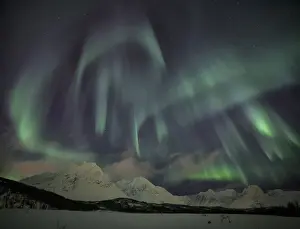 Fjords Prints: The Northern Lights illuminates the snowy landscape in Svensby Lyngen Alps Tromsa¸ Lapland Norway Europe