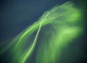 Images Dated 10th August 2011: Northern Lights, Lapland, Finland