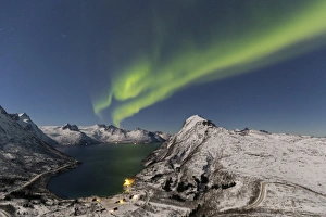 Northern lights at Mefjordbotn, Berg, Senja, Norway, Europe
