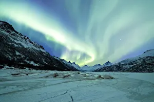 Svolvaer Prints: Northern Lights, Olderfjorden, Svolvaer, Lofoten Islands, Norway