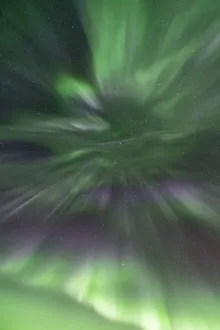 Nord Norge Prints: Northern lights in the sky in winter. Troms county, Northern Norway, Norway