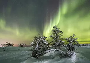 Images Dated 12th September 2017: Northern lights and starry sky on the snowy landscape and the frozen trees Levi Sirkka