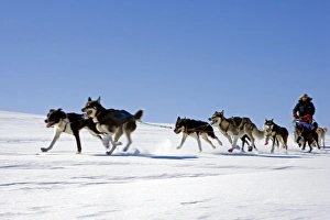 Norway, Troms, Lyngen Alps