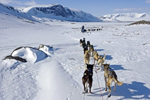 Adventurer Gallery: Norway, Troms, Lyngen Alps