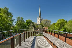 Pathway Collection: Norwich Cathedral, Norwich, Norfolk, England