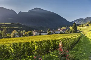 Eisacktal Prints: Novacella / Neustift, Bolzano province, South Tyrol, Italy