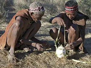 Nomadic Prints: Two N!!S hunter-gatherers make a bark carrier for an ostrich egg