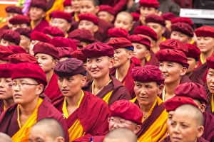 Group Gallery: Nuns, Hemis Monastery, Indus Valley, Ladakh, India