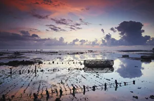 Images Dated 19th September 2011: Nusa Lembongan at dawn, Bali, Indonesia