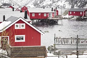 Fisherman Village Prints: Nusfjord village, Lofoten Islands, Norway