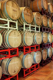 Cape May Prints: Oak aging casks in the Tasting room at Cape May Winerys tasting room