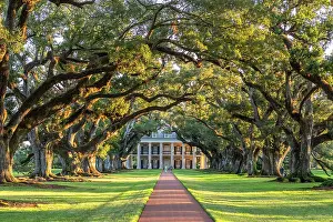 Louisiana Prints: Oak Alley Plantation; Louisiana, USA, North America