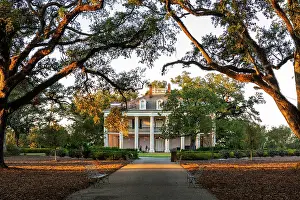 Louisiana Prints: Oak Alley Plantation; Louisiana, USA, North America
