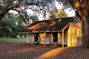 Louisiana Prints: Oak Alley Plantation; Louisiana, USA, North America