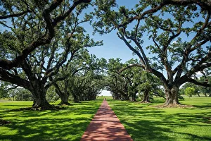 Oak Alley Plantation, Vacherie, Louisiana, USA