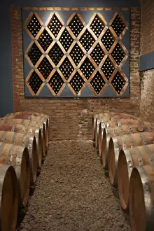 Barrels Prints: Oak barrels and vintage wine bottles in the cave of the Bodega Las Arcas de Tolombon winery