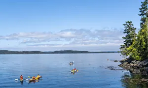 Active Gallery: Ocean canoeing in Telegraph Cove, British Columbia, Vancouver Island, Canada
