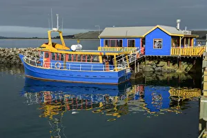 Stanley Prints: Oceania, Australia, Tasmania, Stanley Harbour