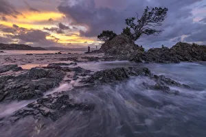 Photographers Prints: Oceania, New Zealand, Aotearoa, North Island, Coromandel Peninsula, Photographers