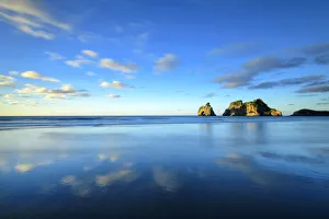 Oceania, New Zealand, Aotearoa, South Island, Golden Bay, Kahurangi National Park