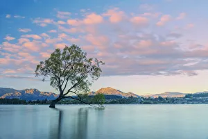 Oceania, New Zealand, Aotearoa, South Island, Otago, Lake Wanaka