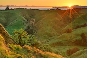 Oceania, New Zealand, Aotearoa, South Island, Golden Bay, Tanaka, Abel Tasman National