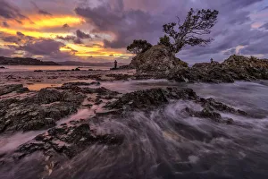 Oceania, New Zealand, Aotearoa, North Island, Coromandel Peninsula, Photographers