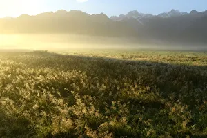 Oceania, New Zealand, Aotearoa, South Island, West Coast, South Westland, Southern