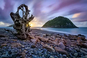 Oceania, New Zealand, Aotearoa, North Island, Rocky beach near New Plymouth