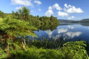 Oceania, New Zealand, Aotearoa, South Island, West Coast, Lake Paringa