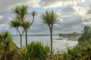 Oceania, New Zealand, Aotearoa, South Island, West Coast, coast near Westport