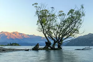 Images Dated 17th May 2018: Oceania, New Zealand, Aotearoa, South Island, Otago, Wanaka, Southern Alps with Lake