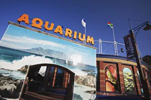 Images Dated 13th October 2010: Two Oceans Aquarium, Victoria and Alfred Waterfront, Cape Town, Western Cape, South