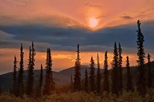 Northern Canada Collection: Ogilvie Mountains at km 167 on the Dempster Highway Dempster Highway Yukon, Canada